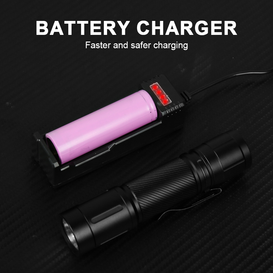 Linterna LED de Enfoque Fijo d - Outdoor Lighting Battery Powered reseña y precio